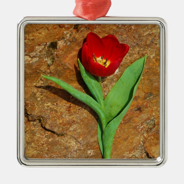 Ornement En Métal Tulipe jaune et rouge (Devant)