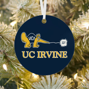 Ornement En Métal UC Irvine UCI Anteaters Zot!