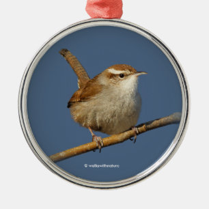 Ornement En Métal Un curieux Wren de Bewick's Wren dans l'arbre