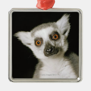 Ornement En Métal Un lemur.