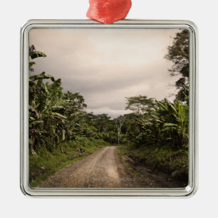 Ornement En Métal Une route à distance de jungle