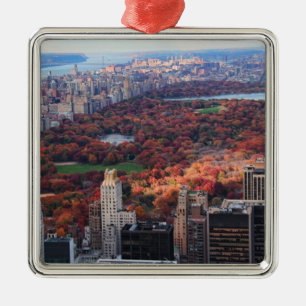 Ornement En Métal Une vue d'en haut : Automne à Central Park 01