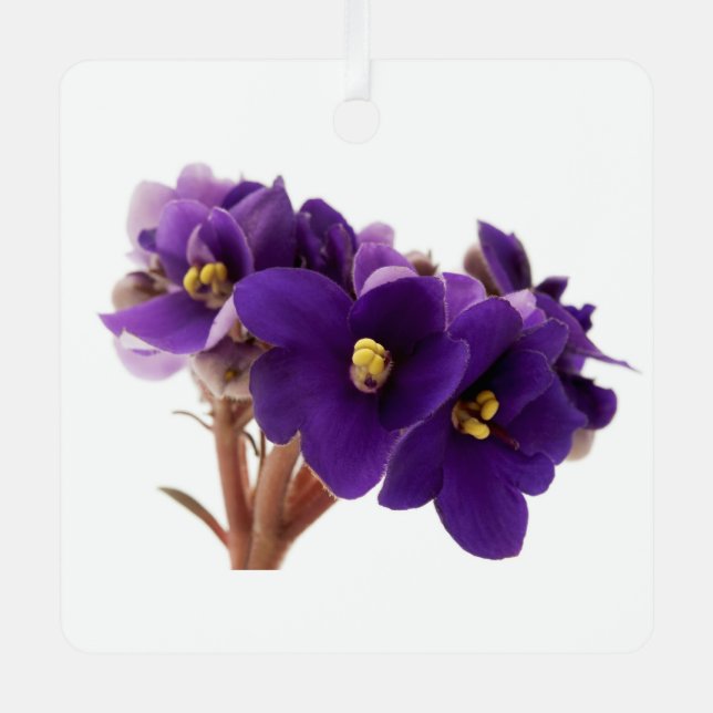 Ornement En Métal Violet africain (Recto)
