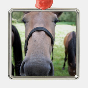 Ornement En Métal Visage de cheval