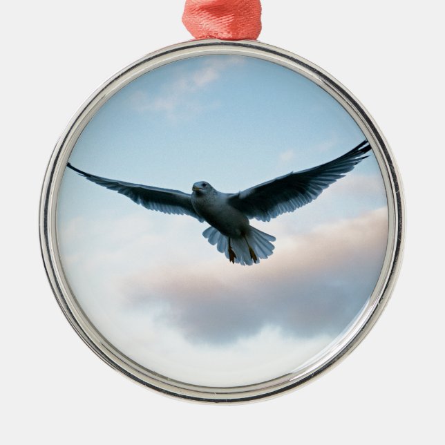 Ornement En Métal Votre libre juste comme Jonathan Livingston (Devant)