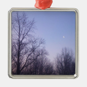 Ornement En Métal Winter Moon Matin Paysage Photographie