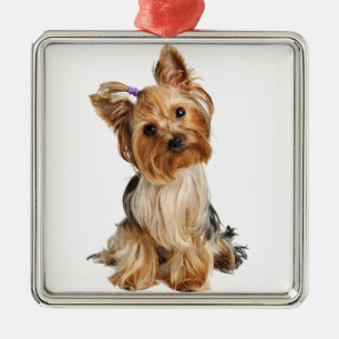 Ornement En Métal Yorkshire Terrier Puppy