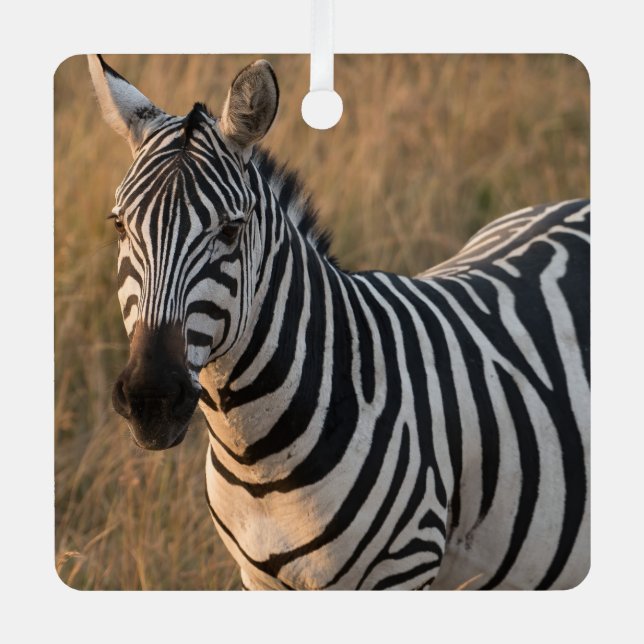 Ornement En Métal Zebra Personnaliser Nom Photo Noël (Recto)