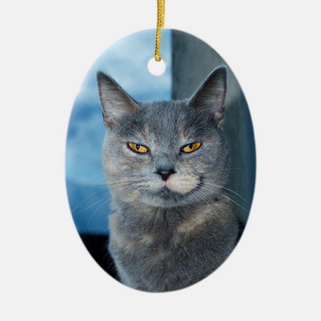 ornement en porcelaine de chat cool (Devant)