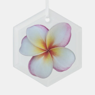 Ornement en verre à fleurs de la plumeria