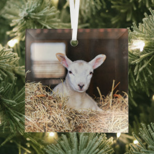 Ornement En Verre Animaux de bébés cutest Agneau nouveau-né