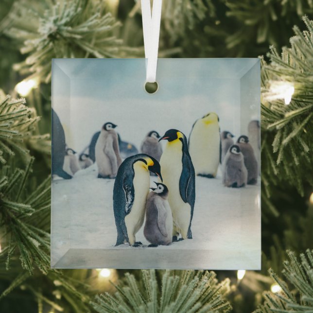 Ornement En Verre Animaux de bébés cutest | Alimentation de pingouin (Insitu)