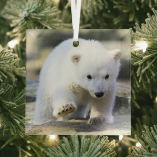 Ornement En Verre Animaux de bébés cutest   Bébé Ours Polaire Cub