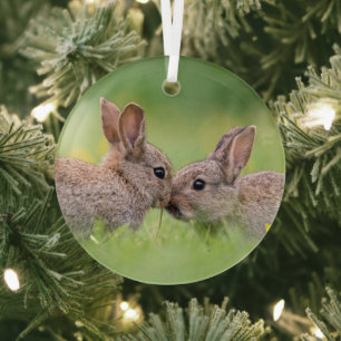 Ornement En Verre Animaux de bébés cutest   Bunny Kiss