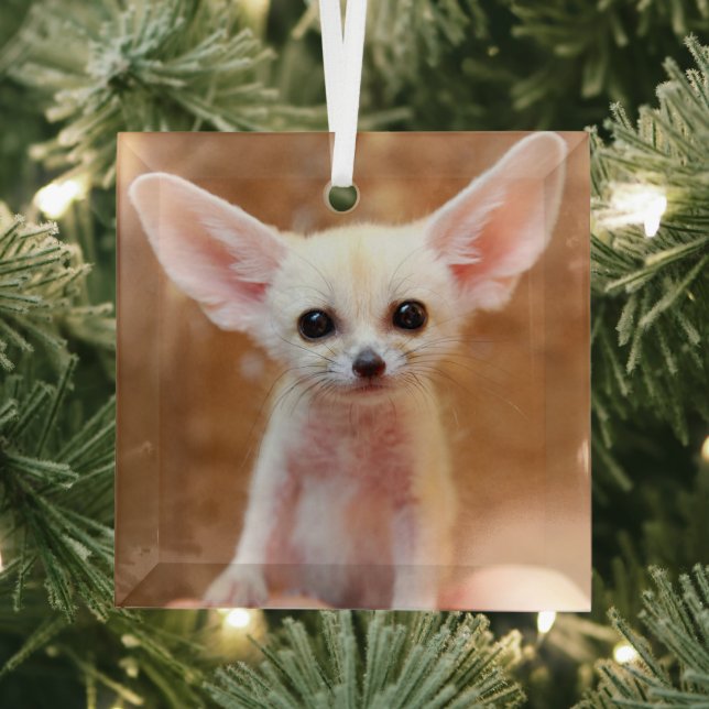 Ornement En Verre Animaux de bébés cutest | Fennec Fox (Insitu)