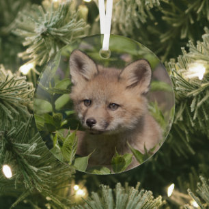 Ornement En Verre Animaux de bébés cutest Kit Fox