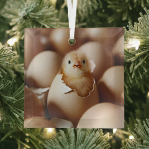 Ornement En Verre Animaux de bébés cutest   Nouveau bébé poussin