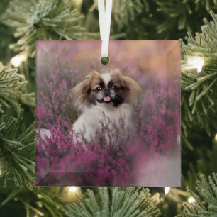 Ornement En Verre Animaux de bébés cutest Pekingese Puppy