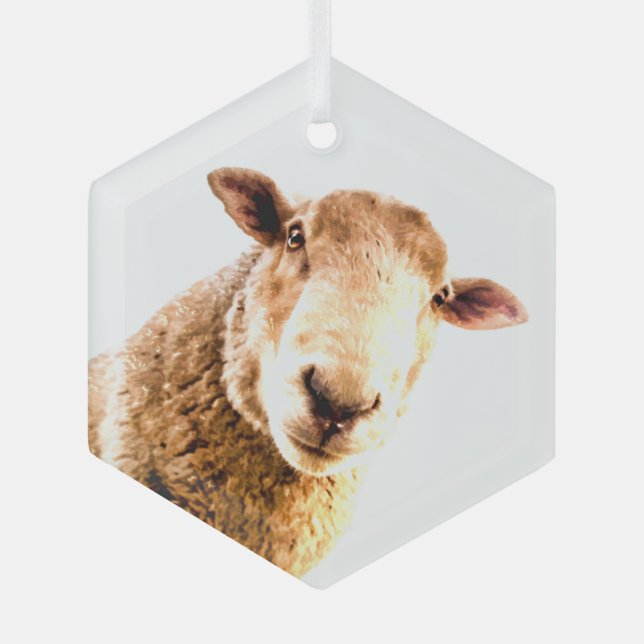 Ornement En Verre Animaux de ferme amusants Moutons (Recto)