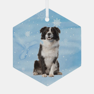 Ornement En Verre Aquarelle Bordure Collie chien animal