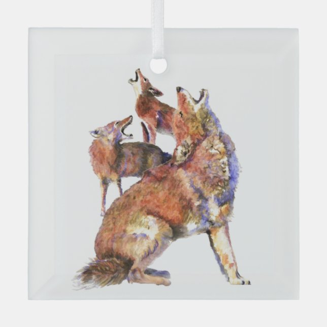 Ornement En Verre Aquarelle Coyote Faune Animal Nature Art (Recto)
