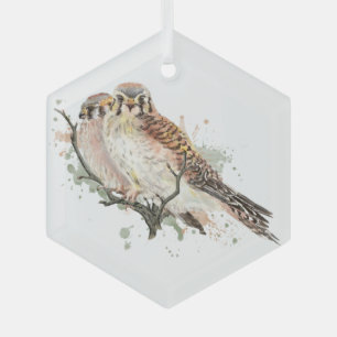 Ornement En Verre Aquarelle Kestrel Falcon Amis Couple Birds