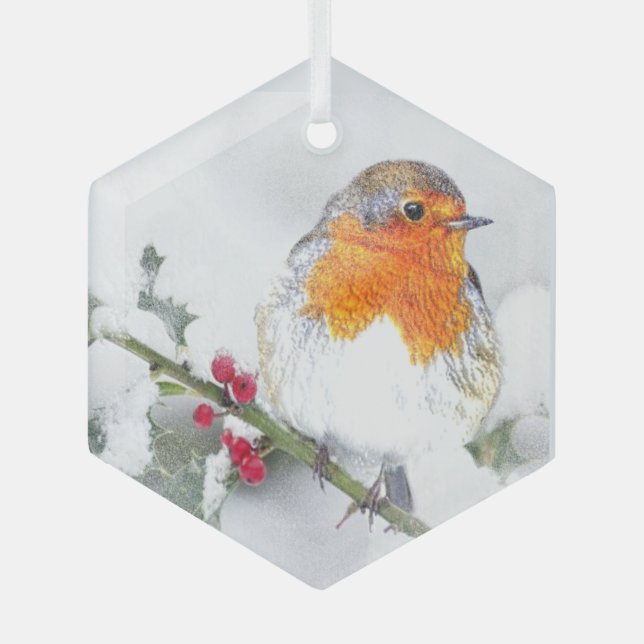 Ornement En Verre Aquarelle Robin Anglais Oiseau Faune Nature Art (Recto)