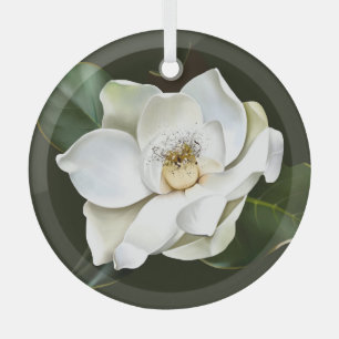Ornement En Verre Arrière - plan blanc Magnolia Closeup Vert