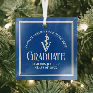 Ornement En Verre Bleu Ecole Vétérinaire Noël