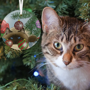 Ornement En Verre Boule de Noël Chat siamois Drôle