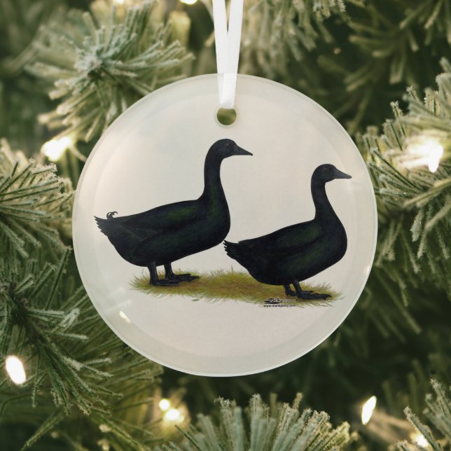 Ornement En Verre Canards : Cayugas noirs (Insitu)
