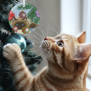 Ornement En Verre Chat d'ornement de Noël