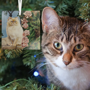 Ornement En Verre Chat Persan Crème Envoûtant Rose Forestière Dryade
