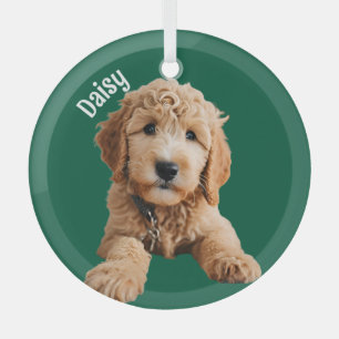 Ornement En Verre Chiot de Doodle Doré