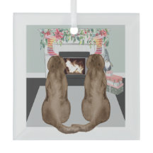Chocolate Labrador