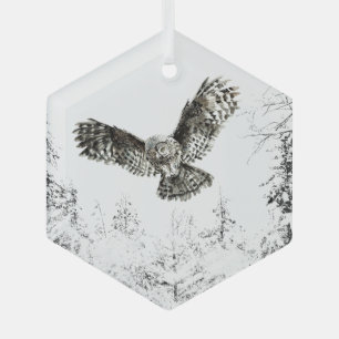 Ornement En Verre Chouette d'aquarelle Oiseau Faune Nature Art