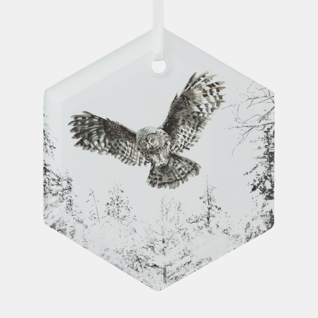 Ornement En Verre Chouette d'aquarelle Oiseau Faune Nature Art (Recto)