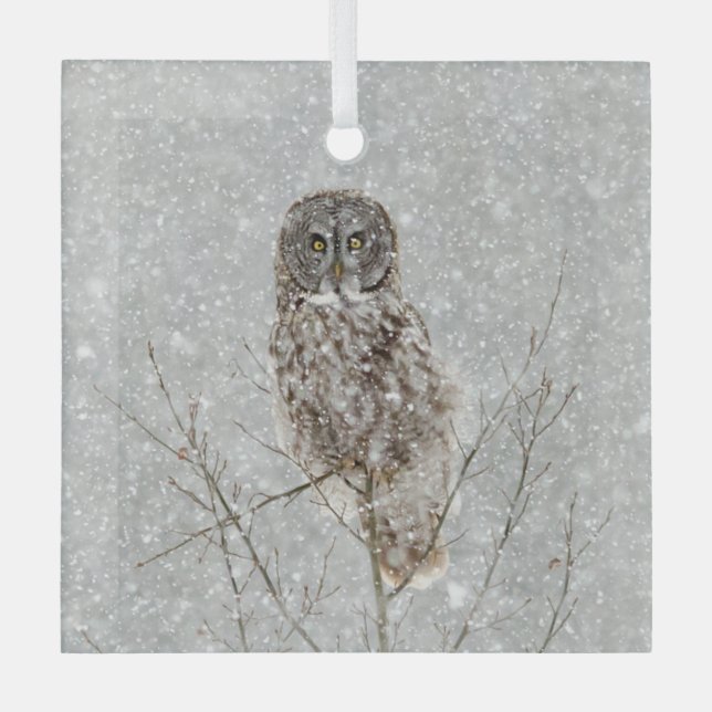 Ornement En Verre Chouette grise en hiver (Recto)