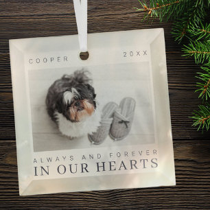 Ornement En Verre Citation Pet Memorial Simple Modern Chic Photo