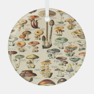 Ornement En Verre Collection de champignons