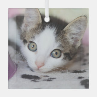 Ornement En Verre Cute Kitten 1 Carré photo