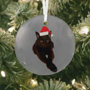 Ornement En Verre Découpe photo de chat noir avec gris de chapeau de