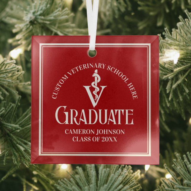 Ornement En Verre École vétérinaire rouge Noël (Insitu)