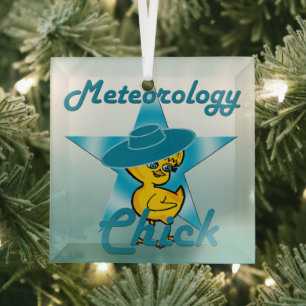 Ornement En Verre Épouse météorologique #7