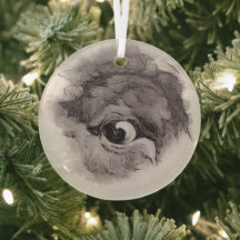 Eye of the Bison – Gaze Collection