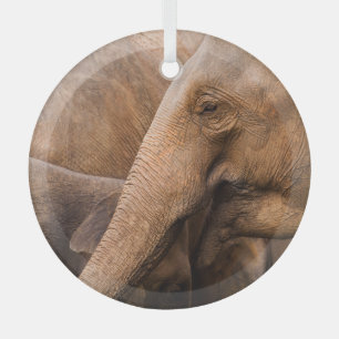 Ornement En Verre Famille des éléphants : Faune majestueuse