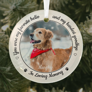 Ornement En Verre Favorite Hello Hardest Goodbye Photo Pet Memorial