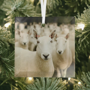 Ornement En Verre Fermes Troupeau de moutons