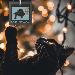 Ornement En Verre Fête des mères de chats noirs
