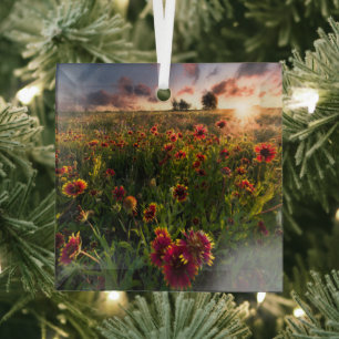 Ornement En Verre Fleurs   Fleur sauvage indien Texas